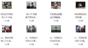 陈鹤皋“无限制格斗”实战训练视频-财仔梦想资源网