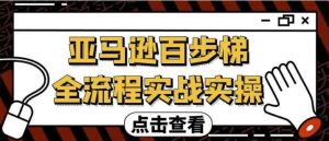 亚马逊百步梯全流程实战实操-财仔梦想资源网