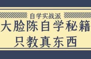 大脸陈自学秘籍只教真东西-财仔梦想资源网