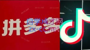 老陶电商·拼多多+抖音小店无货源开店(更新8月)-财仔梦想资源网