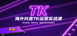 海外抖音TK运营实战课：账号搭建、精准引流、剪辑带货与私域转化-财仔梦想资源网
