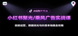 小红书聚光/乘风广告实战课：投放运营、数据优化与抖音本地推全攻略-财仔梦想资源网