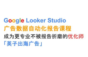 英子出海广告·GoogleLookerStudio从新手到高手-财仔梦想资源网