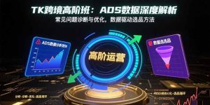 TK跨境高阶班：ADS数据深度解析，常见问题诊断与优化，数据驱动选品方法-财仔梦想资源网