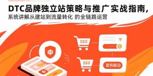 DTC品牌独立站策略与推广实战指南，系统讲解从建站到流量转化的全链路运营-财仔梦想资源网