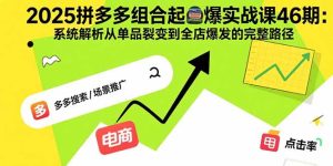 2025拼多多组合起爆实战课46期：系统解析从单品裂变到全店爆发的完整路径-财仔梦想资源网