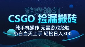 8月最新游戏搬砖,CSGO纯挂机,不需要玩游戏,实现真挂机,月入1W+-财仔梦想资源网