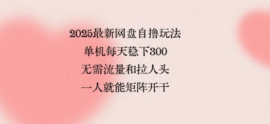 2025最新网盘自撸玩法，单机每天稳下3张，无需流量和拉人头，一个人就可轻松矩阵，全网独一份【揭秘】-财仔梦想资源网