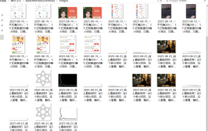 『高端精品』最新公主号无水印下载工具，图片视频音频无脑小白一键下载-财仔梦想资源网