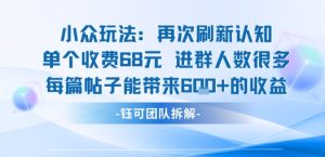 小众玩法再次刷新认知单个收费68米进群人数很多每篇帖子能带来6张的收益-财仔梦想资源网