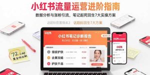 小红书流量运营进阶指南，数据分析与涨粉引流，笔记起死回生7大实操方案-财仔梦想资源网