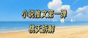 小说推文项目操作全流程第一弹,0粉就能做,门槛低非常适合新手-财仔梦想资源网