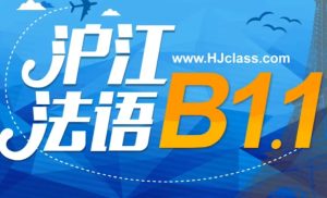 法语B1全套教学视频-财仔梦想资源网