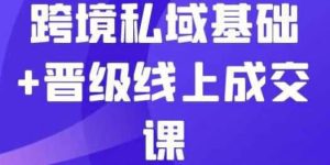 跨境私域基础+晋级线上成交课-财仔梦想资源网