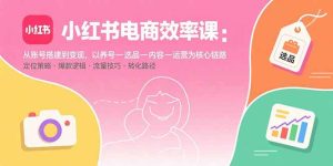小红书电商效率课：从账号搭建到变现，以养号-选品-内容-运营为核心链路-财仔梦想资源网