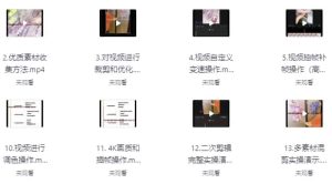 作品搬运二次剪辑和混剪技术-财仔梦想资源网