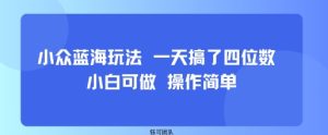 小众蓝海玩法一天搞了四位数小白可做操作简单-财仔梦想资源网