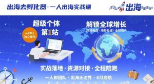 出海去孵化器，一人出海实战课，​超级个体第1站，解锁全球增长-财仔梦想资源网