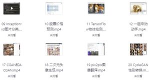 AI开发项目-财仔梦想资源网