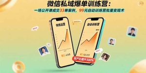 微信私域爆单训练营：一场公开课成交33单案例，99元自动训练营批量变现术-财仔梦想资源网