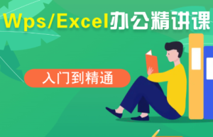 夏老师·WPSExcel办公(精讲课)-财仔梦想资源网