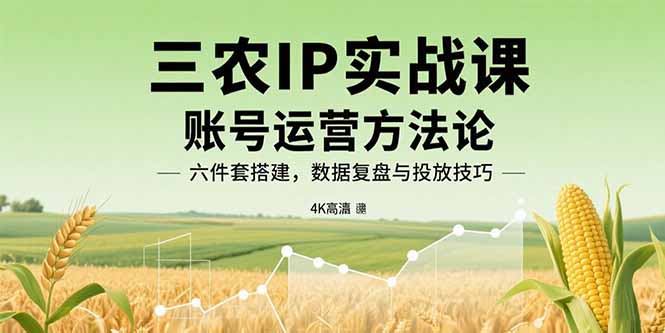 三农IP实战课：账号运营方法论，六件套搭建，数据复盘与投放技巧-财仔梦想资源网