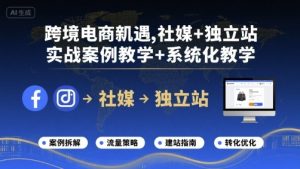 跨境电商新机遇，社媒+独立站，实战案例教学+系统化教学-财仔梦想资源网