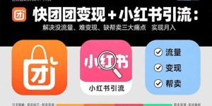 快团团变现+小红书引流：解决没流量、难变现、缺帮卖三大痛点实现月入3w+-财仔梦想资源网