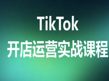 TikTok开店运营实战课程，TK跨境电商实操全流程-财仔梦想资源网