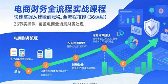 电商财务全流程实战课程：快速掌握从建账到报税的全流程技能(36节课-财仔梦想资源网