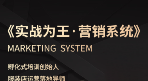 老杨·服装老板必修课《实战为王-营销系统》实现业绩被动式增长-财仔梦想资源网