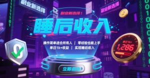 副业新选择！操作简单适合所有人，零经验也能上手，单日1k+收益，实现睡后收入【揭秘】-财仔梦想资源网