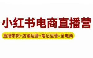 申铭老师·小红书电商直播营(更新)-财仔梦想资源网