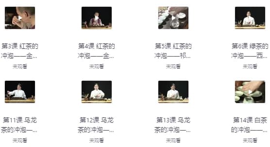 全套茶艺课程：零基础也能学会，轻松掌握茶艺精髓-财仔梦想资源网