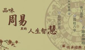 【蓝翎五行性格心理】系统课三阶段：全面掌握五行解局（壬寅版）-财仔梦想资源网
