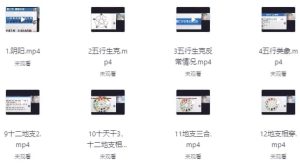盲派山阳老师全套课程20集+课件-财仔梦想资源网