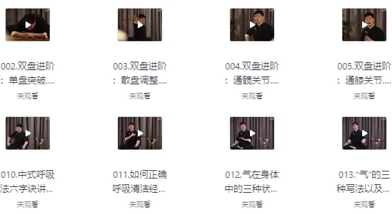 14天养元筑基进阶训练营-财仔梦想资源网