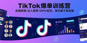 TikTok爆单训练营，店铺搭建/达人矩阵/GMV投流，单日破千单实操-财仔梦想资源网
