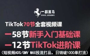 TikTok全套视频课，新手入门+进阶课，短视频ADS-GMVMAX投流打品，日销破1000单打法-财仔梦想资源网