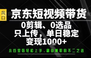 你出账号，我来运营，保底日入1k+，开启躺賺模式【揭秘】-财仔梦想资源网
