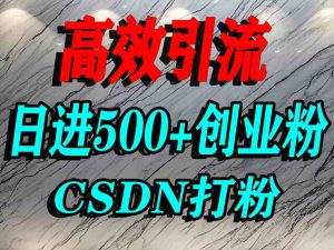 怎么打创业粉？CSDN又一个你不知道的打粉引流神秘平台，单人日引500+精准流量-财仔梦想资源网