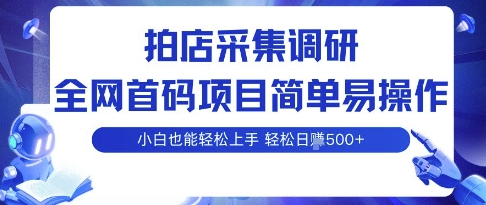 拍店采集调研，全网首码项目，简单易操作，小白也能轻松上手，多账号操作，轻松日入5张【揭秘】-财仔梦想资源网