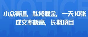小众赛道，私域掘金，一天多张，成交率极高，长期项目-财仔梦想资源网