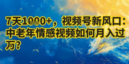 7天收益1k+，视频号新风口：中老年情感视频如何月入过W?-财仔梦想资源网