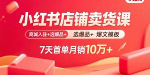 小红书店铺卖货课：商城入驻+选爆品+爆文模板，7天首单月销10万+-财仔梦想资源网