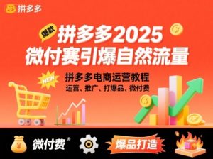 拼多多2025微付赛引爆自然流量，拼多多电商运营教程，运营、推广、打爆品、微付费-财仔梦想资源网