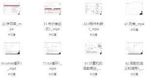 Python高级爬虫工程师-财仔梦想资源网