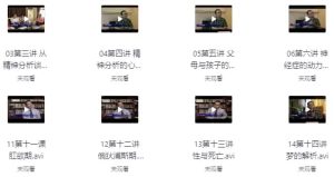 曾奇峰老师的精神分析课程-财仔梦想资源网