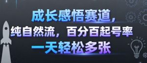 成长感悟赛道，纯自然流，百分百起号率一天轻松多张-财仔梦想资源网