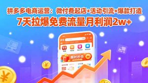 拼多多电商运营：微付费起店+活动引流+爆款打造7天拉爆免费流量月利润2w+-财仔梦想资源网